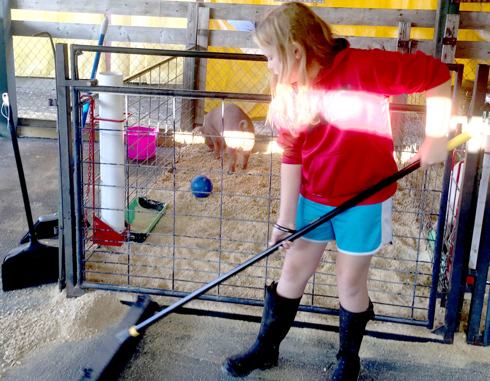 Early morning at the Washington County Fair